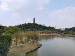 -顺峰山公园