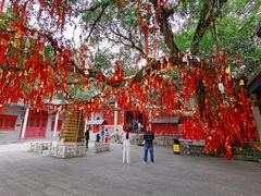 -国恩寺