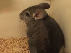 -龙猫仔乐园(惠福东路店)