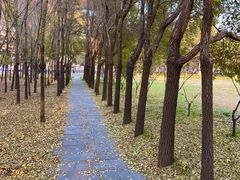 -长春市南湖公园