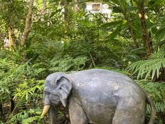 -中国科学院西双版纳热带植物园