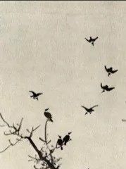 -杨梅红艺术教育(凤城教学中心)