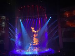 -水秀国际大剧院