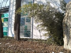 -北京市海淀区翠微小学