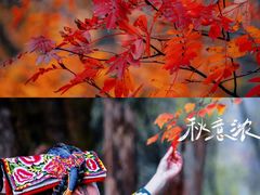 -叠溪松坪沟景区