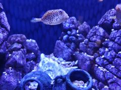 -成都浩海立方海洋公园