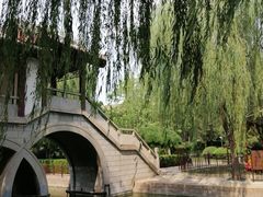 -团结湖公园