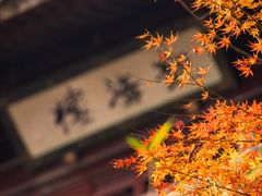 -韬光茶庵