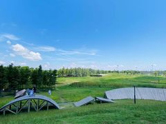 -春花秋色城市公园