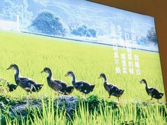-杨厨的田园饭店(长城路店)