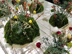 -精绝七日-新疆尼雅遗址数字大展【拉法耶文化艺术中心】