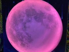 -梵高星空艺术馆(北京旗舰店)