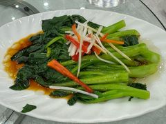 -清真·安乐园菜馆(茶南店)