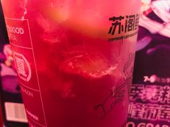-苏阁鲜果茶(虎门君乐汇店)