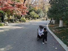 -千年银杏谷文化旅游区
