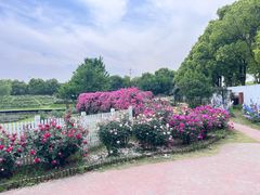 -嘉北郊野公园