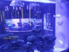 -上和臻品中国菜(花园街店)