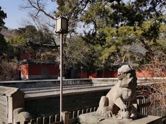 -大觉寺-停车场