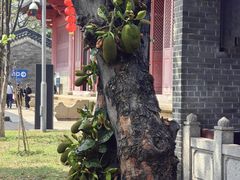 -南海神庙