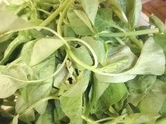 苋菜-荔城生鲜盛宴(番禺旗舰店)