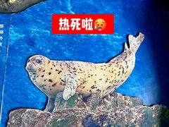 -杭州长乔极地海洋公园