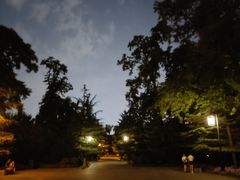 -迎泽公园