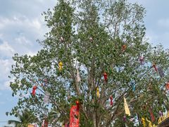 -西双版纳傣族园