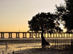 -宝安西湾红树林湿地公园