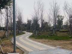 -澹台湖公园