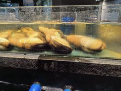 -龙宴海鲜城(经中路店)