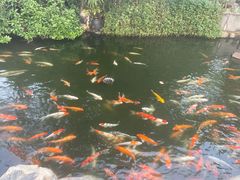-厦门日月谷温泉渡假村