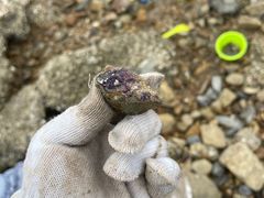 -宁波松兰山滨海旅游度假区