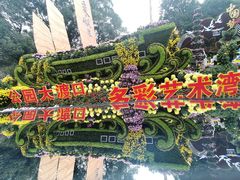 -南山植物园