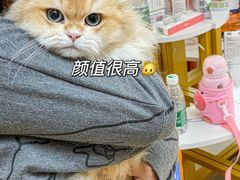 -lincat·猫舍(广州店)