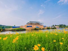 -杭州君悦酒店-健身房