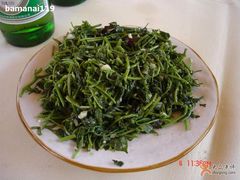 龙须菜-北京水岸山吧度假村(雁栖镇店)