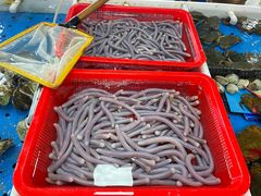 -南沙十九涌渔人码头-南门