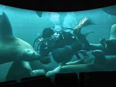 -珠海横琴国家地理探险家中心(创新方)