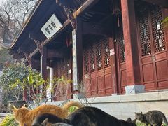 -采石矶景区