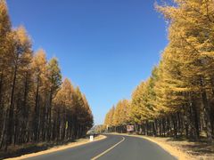 -塞罕坝国家级自然保护区