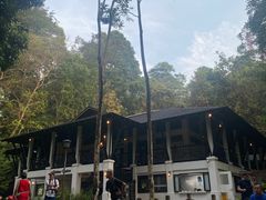 -武吉知马自然保护区