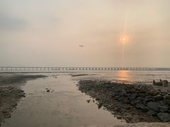 -宝安西湾红树林湿地公园