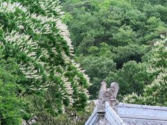 -潭柘寺景区