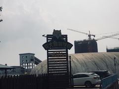 -柴犬高等学院·狗咖·柴犬售卖·宠物训练