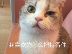 -百顺国际健身会所(青枫墅园店)