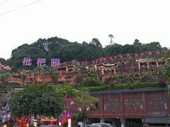 -枇杷园食为鲜火锅(南山店)