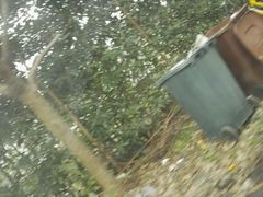 -同济大学(嘉定校区)