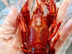 -浙食逅·弄虾·融合菜·小龙虾(双城国际店)