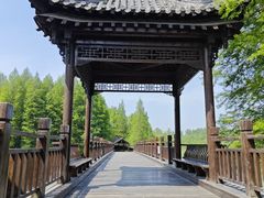 -溱湖国家湿地公园