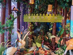 -黄海国家森林公园